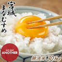 無洗米 30kg 送料無料 令和4年産 宮城県産 まなむすめ 10kg ×3袋 精米時期2月上旬 米 30 キロ お米 30 kg 美味しい グルメ 宮城 宮城県