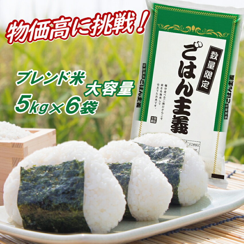 訳あり 米 30kg ごはん主義 白米 送料無料 小分け お米 米 ブレンド米 5kg ×6袋 30キロ 30 kg 大容量 安い 国内産 生活応援米のサムネイル
