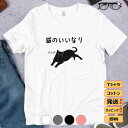 Tシャツ メンズ レディース 半袖 おもしろ tシャツ かわいい 猫tシャツ 猫グッズ 猫柄 ねこ柄 シャツ 猫好き ねこ 猫 ペアルック 猫のいいなり 送料無...