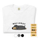 【プレゼント・今だけLINE友達追加で 1,000円OFFクーポン】ダックス フンド プレゼント tシャツ メンズ レディース 半袖 おもしろ tシャツ かわい...
