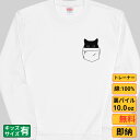 【最大2000円OFFクーポンあり】《買い物マラソン》 ポケット猫 猫 トレーナー 猫tシャツ 猫グッズ 猫柄 服 ねこ柄 シャツ 猫好き かわいい おもしろ ...