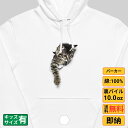 【最大2000円OFFクーポンあり】《買い物マラソン》 パーカー メンズ レディース スウェット トップス 長袖 裏パイル ゆったり かわいい おもしろ ねこ ...