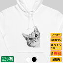パーカー メンズ レディース スウェット トップス 長袖 裏パイル ゆったり かわいい おもしろ ねこ 猫 ペアルック 猫 送料無料