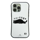 【 50%OFFクーポン★半額 商品あり】 iphone15 ケース iphone14 ケース iphone13 ケース iphone12 ケース iphone...