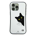 \母の日セール/【20%OFFクーポンあり】母の日 まだ間に合うiphone15 ケース iphone14 ケース iphone13 ケース iphone12 ...