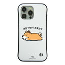 【 50%OFFクーポン★半額 商品あり】 iphone15 ケース iphone14 ケース iphone13 ケース iphone12 ケース iphone...