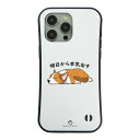 【 50%OFFクーポン★半額 商品あり】 iPhone8, SE2, SE3 ~ ケース iPhone16セリア ケース iphoneケース スマホケース ス...