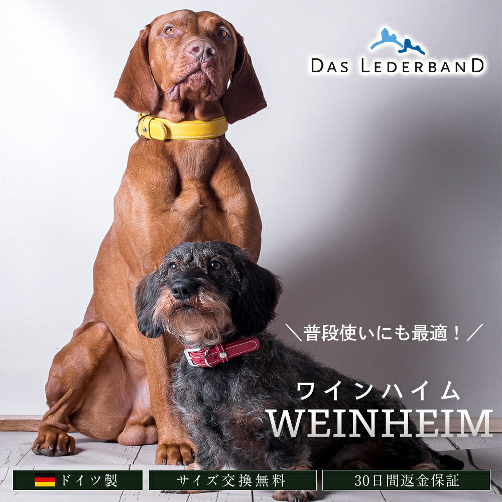 【ドイツ製 高級本革首輪】 Das Lederband レダーバンド WEINHEIM ワインハイム 犬 首輪 犬用首輪 レザー 本革 柔らかくて丈夫 高耐久 有害化学物質不使用 エコテックス認証 ワインハイマー 小…