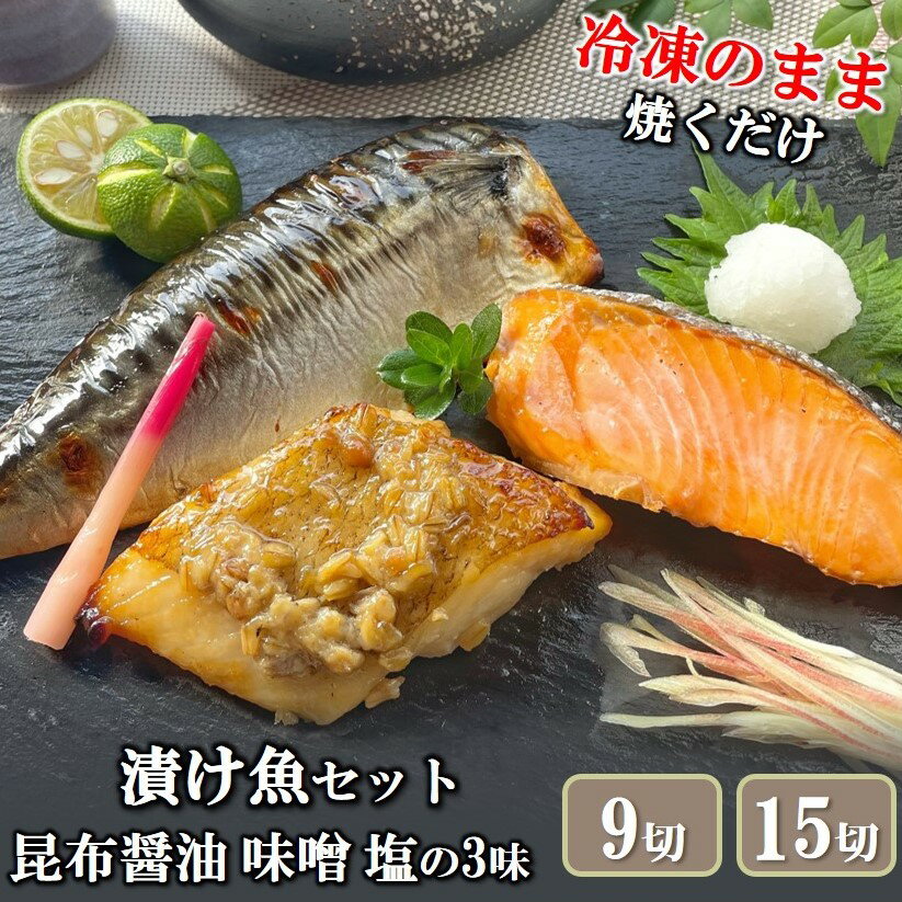 漬け魚 焼き魚 セット 計9切/計15切 3