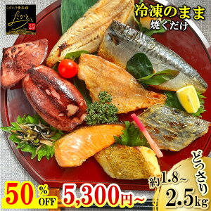 \半額クーポンで18切入 10,600円⇒5,300円〜!/ 【送料無料】 どっさり 漬け魚 食べ比べ セット 計18切/計25切 魚 詰め合わせ 福袋 西京漬け 西京焼き 焼き魚 惣菜 焼魚 漬魚 おかず さかな 冷凍 食品 しゃけ さば さわら ホッケ イカ 鮭 鯖 さけ