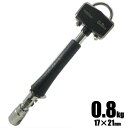 マストツール Wソケット 足場ハンマー 0.8kg 17mm×21mm AH-U08 02423【アシバ ハンマー セットウ 石頭 イチネンアクセス】