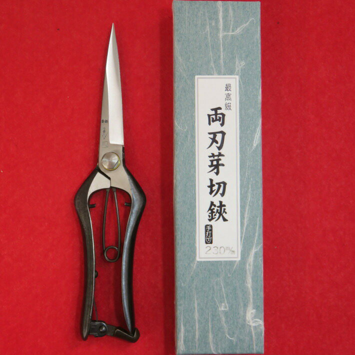 s10000244.jpg