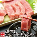 母の日 本マグロ 赤身 2kg前後 (10柵入 200g/柵) マグロ問屋直送 鮮度抜群 超低温 冷凍 鮪 本鮪 お刺身 高級 海鮮 刺し身 グルメ お取り寄せ 贈答 贈り物 お祝い ギフト お中元 敬老の日 お歳暮 正月 北海道 函館市 ま印水産