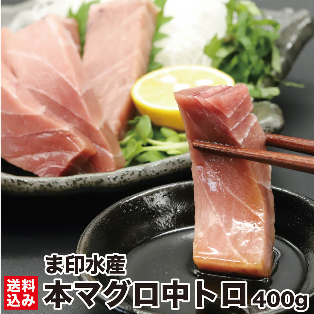 本マグロ 中トロ 400g前後 (2柵入 4~6人前) マグロ問屋直送 鮮度抜群 超低温 冷凍 鮪 本鮪 お刺身 高級 海鮮 刺し身 グルメ お取り寄せ 贈答お祝い ギフト お中元 敬老の日 お歳暮 正月 北海道 函館市 ま印水産