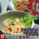 母の日 函館 イカ沖漬 山わさびするめ醤油漬 120g×3(