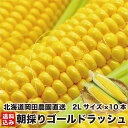 【27日9:59までポイント18倍】 2024年夏出荷 【早期予約】 とうもろこし 北海道産 ゴールドラッシュ 2Lサイズ× 10本 (400g前後/本) 朝採り 食用 生食 スイートコーン ギフト 贈り物 野菜 人気 売れ筋 ランキング お取り寄せ とうきび 岡田農園 産地直送 送料無料