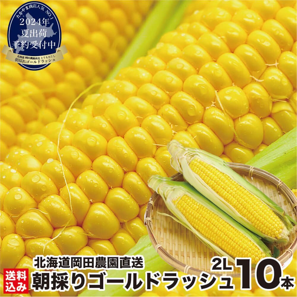 ＼早期予約受付中！／ とうもろこし 北海道産 ゴールドラッシュ (2024年夏出荷) 2Lサイズ× 10本 (400g前後/本) 朝採り 食用 生食 スイートコーン ギフト 贈り物 野菜 人気 売れ筋 ランキング お取り寄せ とうきび 岡田農園