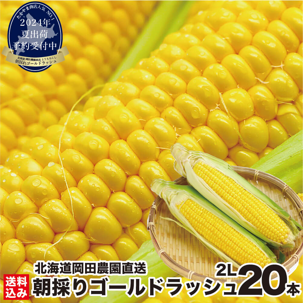 ＼早期予約受付中！／ とうもろこし 北海道産 ゴールドラッシュ (2024年夏出荷) 2Lサイズ× 20本 (400g前後/本) 朝採り 食用 生食 スイートコーン ギフト 贈り物 野菜 人気 売れ筋 ランキング お取り寄せ とうきび 岡田農園