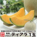 279:59܂Ń|Cg10{ y\ 7{oׁz kCY ԓ eBA 1 (1.8`2.0kg/)@ʌ  i ăMtg t[c ʕ Yn _ jZR NIWA FARM 