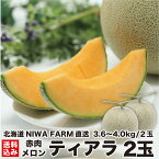 【予約 7月下旬出荷】 北海道産 赤肉メロン ティアラ 2玉 (1.8〜2.0kg/玉)　数量限定 お取り寄せ 贈答品 夏ギフト フルーツ 果物 産地直送 農園直送 ニセコ町 NIWA FARM 送料無料