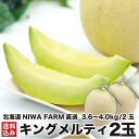 【予約 7月下旬出荷】 北海道産 青肉メロン キングメルティ 2玉 (1.8〜2.0kg/玉)　数量限定 お取り寄せ 贈答品 夏ギフト フルーツ 果物 産地直送 農園直送 ニセコ町 NIWA FARM 送料無料