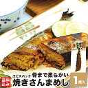 1000円ポッキリ 【27日9:59までポイント5倍】 焼きさんまめし 1尾入×1 いかめし のタレ 北海道産 秋刀魚 レトルト 湯煎 時短 簡単 骨まで柔らかい 函館市 ヱビスパック メーカー直送 送料無料 ポスト便 メール便 母の日