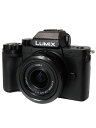 【Panasonic】パナソニック『LUMIX G100 標準ズームレンズキット』DC-G100K-K 2020年8月発売 ミラーレス一眼カメラ 1週間保証【中...