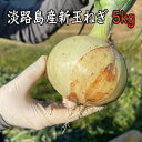 ※【季節限定】1月下旬から順次発送します。 淡路島うしろ農園の新たまねぎ5kg（20個程度）です。色が白く、肉質が柔らかい新たまねぎです。 うしろ農園のある都志地区は、淡路島の西海岸に位置し冬場でも平均気温が高く霜が降りにくいのが特徴です。 海が近いため潮風をあびてミネラルを多く含む土と、瀬戸内海の温暖な気候といった恵まれた環境の中で育った自慢の逸品です。 （栽培へのこだわり） 竹肥料、海藻肥料、ボカシ肥料などの有機肥料を時期により使用量を調整することで辛みを抑え、たまねぎの美味しさを引き出しました。 竹肥料が栄養吸収を促すため、化学肥料と農薬を県の基準の50％以下に減らすことが可能に！ （食べ方） 『おすすめは、サラダや、丸ごとレンチン、千枚漬けも◎』 白く、柔らかく、みずみずしい新たまねぎは、スライスしたサラダが特におすすめ！ 辛み成分を抑えていますが、辛味が気になる方はスライスして30分ほど空気にさらすだけで味がマイルドになりますよ。 ドレッシングやぽん酢をかけていかがですか？ また火を通すとさらに甘みが増し、短時間の加熱でトロッとした食感が楽しめます。 商品説明 名称 淡路島産新玉ねぎ 産地名 兵庫県淡路島 内容量 5kg（20個程度） 賞味期限 発送日より14日 保存方法 日陰の涼しいところで保存下さい 生産者 洲本市五色町　うしろ農園 注文に際しての注意点（配送方法や納期指定など） (1)発送は注文状況により遅くなる場合があります。 (2)サイズ混合のため、箱に入っている個数が変わります。 (3)掲載重量は箱込みの重さ(約4.8kg〜5kg）でできるだけ箱いっぱいに詰めます。 運送会社の規定に基づいて発送します。 (4)鮮度保持袋をつけています。(約1kg分の玉ねぎが入ります) (5)新たまねぎは収穫後も成長しているため、芽が出てきやすいです。淡路島 うしろ農園の極早生新玉ねぎ 色が白く、肉質が柔らかい新たまねぎです。 うしろ農園のある都志地区は、淡路島の西海岸に位置し 平均気温が高く霜が降りにくいのが特徴です。 海が近いため潮風をあびてミネラルを多く含む土と、瀬戸内海の温暖な気候に恵まれた自慢の逸品 （栽培へのこだわり） 竹肥料、海藻肥料、ボカシ肥料などの有機肥料を時期により使用量を調整することで辛みを抑え、たまねぎの美味しさを引き出しました。 竹肥料が栄養吸収を促すため、化学肥料と農薬を県の基準の50％以下に減らすことが可能に！ おすすめは、サラダや、丸ごとレンチン、千枚漬けも◎。火を通すとさらに甘みが増し、短時間の加熱でトロッとした食感が楽しめます。 兵庫県認証の新玉ねぎ