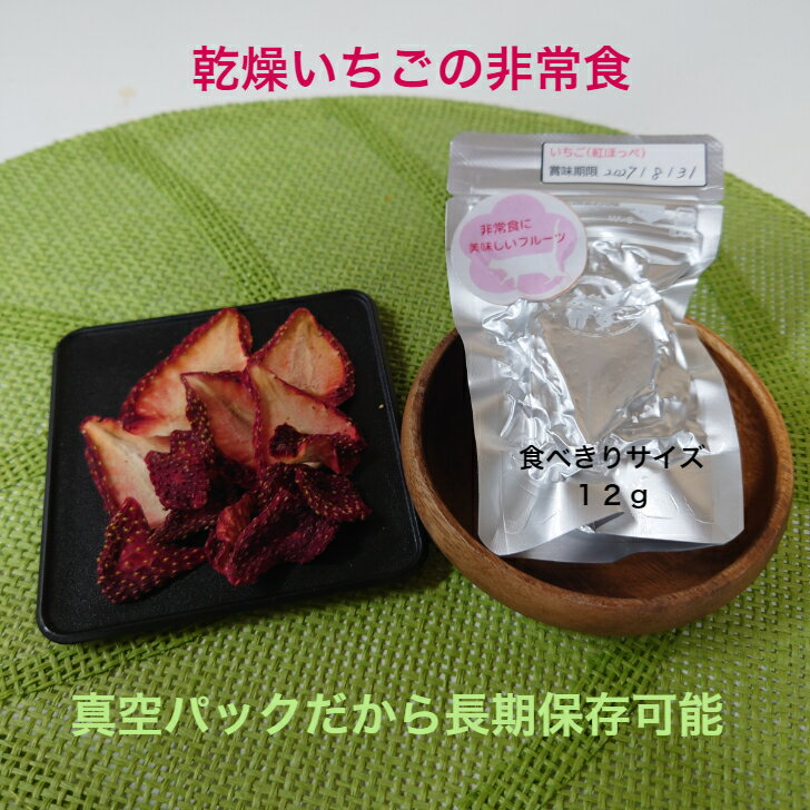 乾燥いちご 12g 自社農園いちご 無添加 砂糖不使用 国産 非常食 食べきりサイズ 長期保存可能