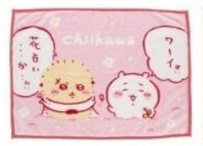 ちいかわ ひざ掛け ブランケット chiikawa ひざかけ ミニ毛布 毛布 防寒 タオル
