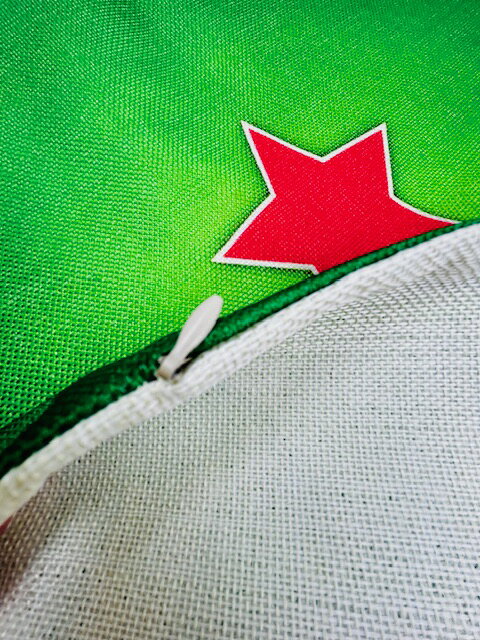 ていくおふの★ハイネケン クッションカバー 44×44★アメリカン雑貨 アメリカ雑貨 Heineken インテリア雑貨 クッション カバー おしゃれ かっこいい 人気｜アングル2