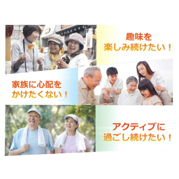 ���祤��ȥ��å��� 2�����顼���� �ҥ������� �ץ��ƥ����ꥫ�� ���饹���� ���顼���� ����åĥ����� ���������ɥꥨ���� �������� ������ƥ��֥���ɥ����� ������ ��ư�� ��ư ���� ���� �᡹ ��� ���� ���������ץ��� ����̵�� �ˤΤ���Ʋ