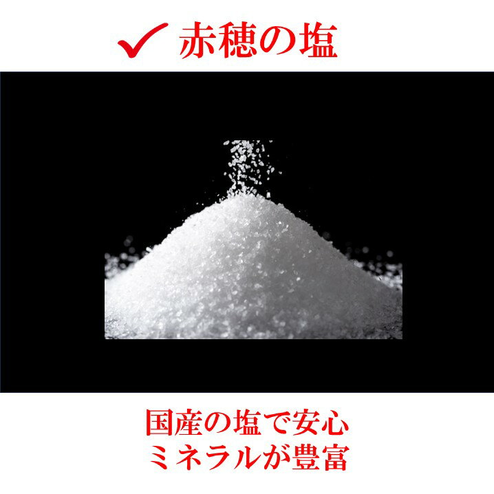 塩飴 出かける時の補給飴 87g 約22粒 熱中症 対策 塩分補給 おすすめ 漢方 補中益...