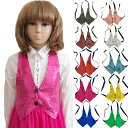 スパンコール ベスト【10色・フリーサイズ】紐を結んでサイズ調整、子供〜大人までok ダンス衣装 ヒップホップ 衣装 キッズダンス 子供 キッズヒップホップ ...