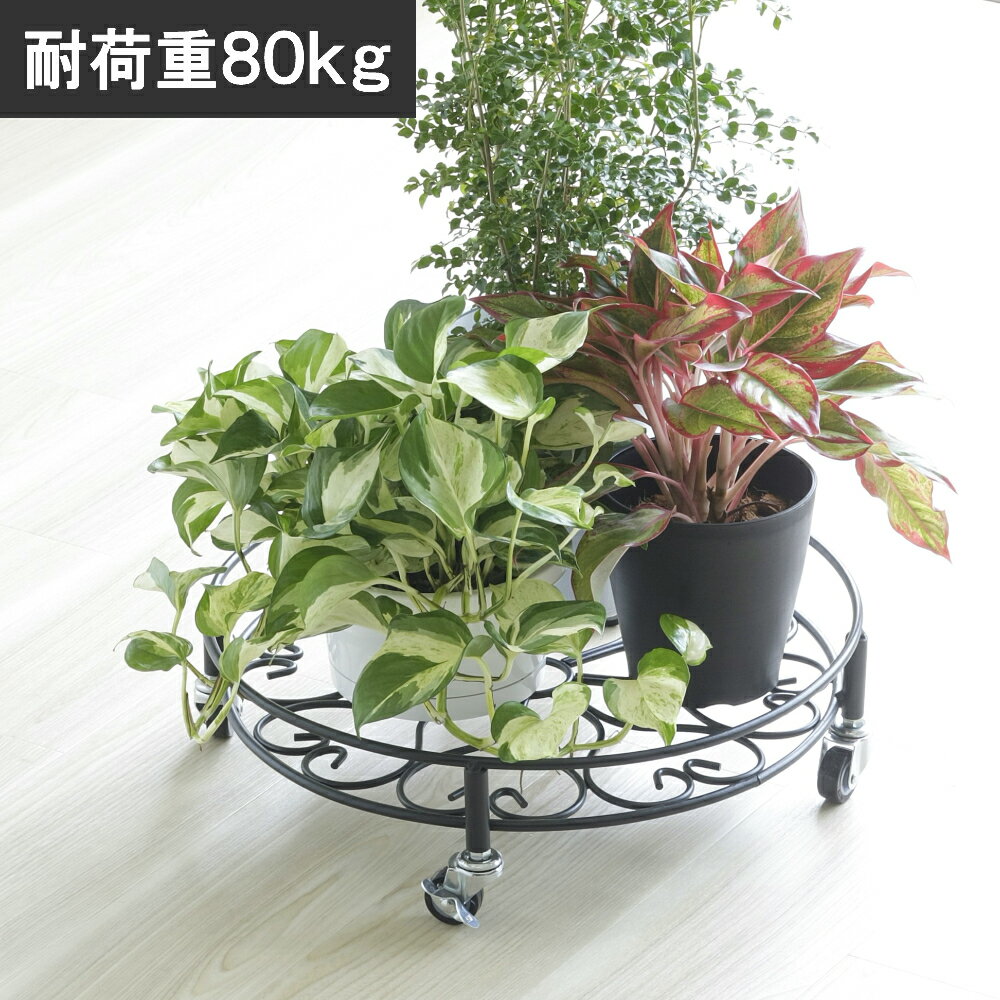 頑丈のせるんです 丸形42cm 耐荷重80kg プランタースタンド 鉢置き キャスター付き ブラック 黒 屋内 ..