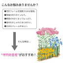 takearest-thenorthland:10000469のサンプル画像3