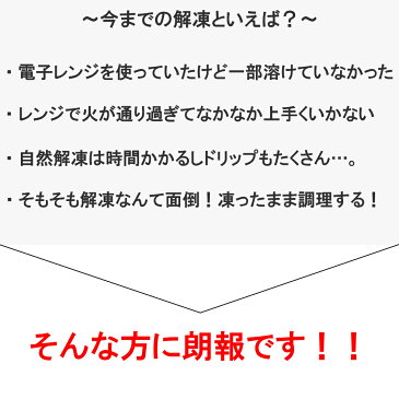 【燕三条製】瞬間解凍皿クイッ君 小サイズ 解凍プレート 瞬間解凍 瞬間冷凍 ドリップ 自然解凍 粗熱取り 早い 国産 日本製 肉 刺身