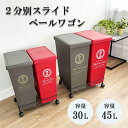 ≪スーパーSALE特別価格!50%OFF≫2分別 スライドペールワゴン 30L 45L ダストボックス ごみ箱 ゴミ箱 分別 ペール2個 キャスター付き 袋止め付き ワゴン 台車 ブラウン スチール製 頑丈 日本製 国産