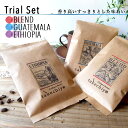 【初回限定】コーヒー豆3種お試しセット ブレント/グァテマラ/エチオピア 60g×3袋 自家焙煎 珈琲 コーヒー コーヒー豆 珈琲豆 ギフト お試し タケチヨ プレゼント 贈り物 1000円 送料無料 】