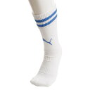 (プーマ)PUMA ラインイリ ジュニア ストッキ ング サッカー ソックス 729882-10