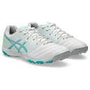 アシックス DS LIGHT JR GS TF サッカー JRトレーニングSH 1104A053-100