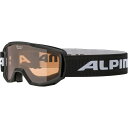 アルピナ PINEY ウインター用品 ゴーグル A7268 431
