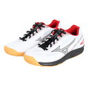 ミズノ SKY BLASTER 3 ラケットスポーツ バドミントンシューズ 71GA234501