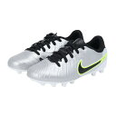 ナイキ(nike) ジュニア レジェンド 10 アカデミー HG サッカー JR固定式スパイク DV4349-001