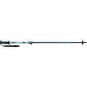 STREULE 25 ST−TL AL 100 −125 スキー カービングスキーポー ST24FG0022CH/TQ