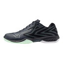 ミズノ WAVE CLAW EL 2 WIDE ラケットスポーツ バドミントンシューズ 71GA258465