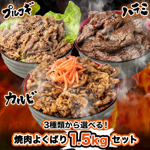 選べる！牛焼肉よくばり1.5kgセット 武田ハム お取り寄せ プレゼント セット 焼肉セット メガ 焼き肉 食べ比べ 牛肉 焼肉 ハラミ カルビ プルコギ 冷凍 惣菜 簡単 味付き肉 あす楽 ギフト 父の日のサムネイル