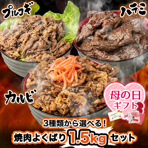 【イベント限定P5倍★最大15%OFFクーポンも！】【母の日タオル付】選べる！牛焼肉よくばり1.5kgセット (150g×10) 武田ハム 肉加工品 お取り寄せ 人気 ギフトセット 焼肉セット メガ盛り 焼き肉 食べ比べ 牛肉 ハラミ カルビ プルコギ 簡単 味付き肉母の日 入学祝いのサムネイル