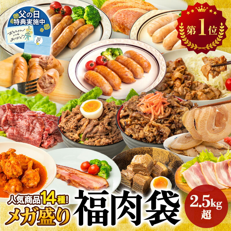 ギフトにも豪華14種のお肉メガ盛福肉袋 2.5kg 詰め合わせ セット 食品ランキング1位獲得 大容量 牛肉 豚肉 豚ばら チ…