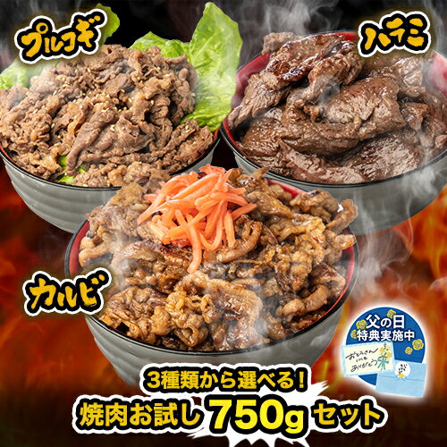 肉セット お試し 牛焼肉750gセット 食品 お取り寄せ プレゼント 人気 セット お返し 焼き肉 セット 食べ比べ 牛肉 ハラミ カルビ プルコギ 冷凍 簡単 味付き肉 父の日